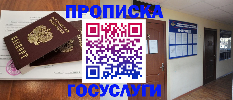 временная регистрация госуслуги в Опочке